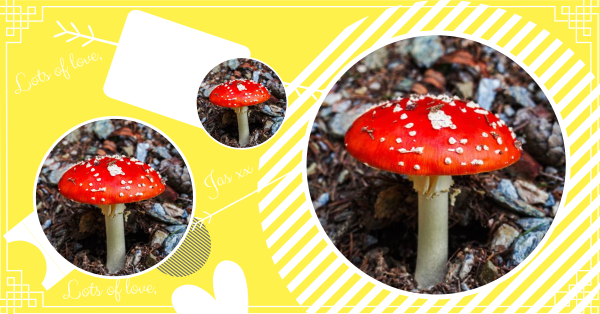 A trio of images of poisoned mushrooms, representing toxic friendships
