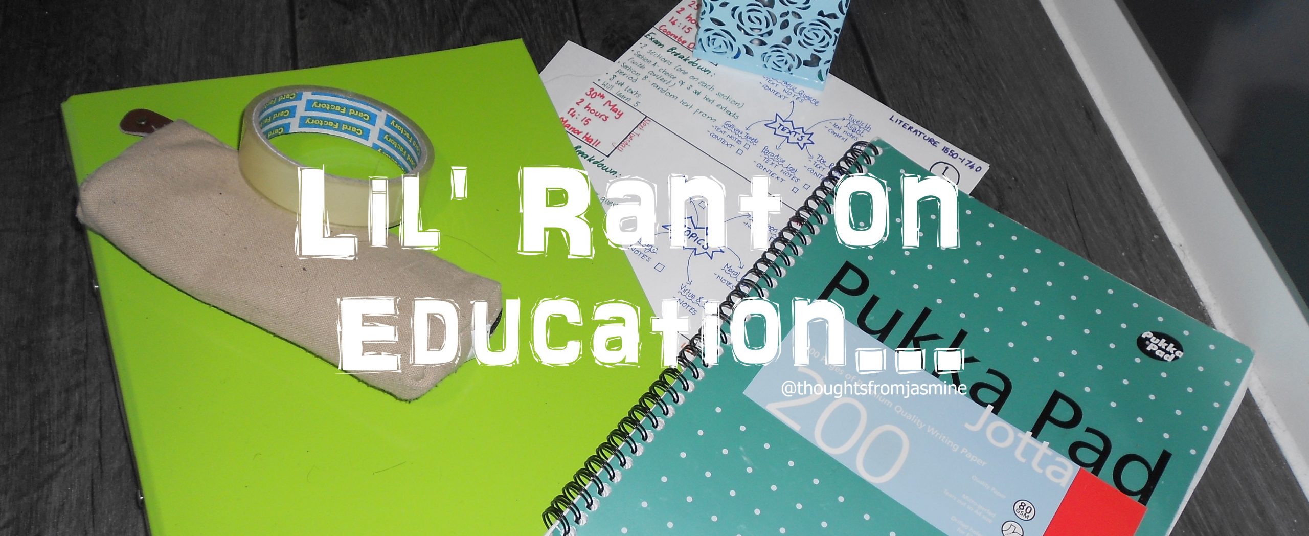 My Thoughts on The Education System…