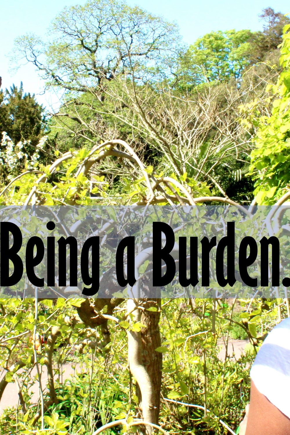 Being crazy is not being a burden