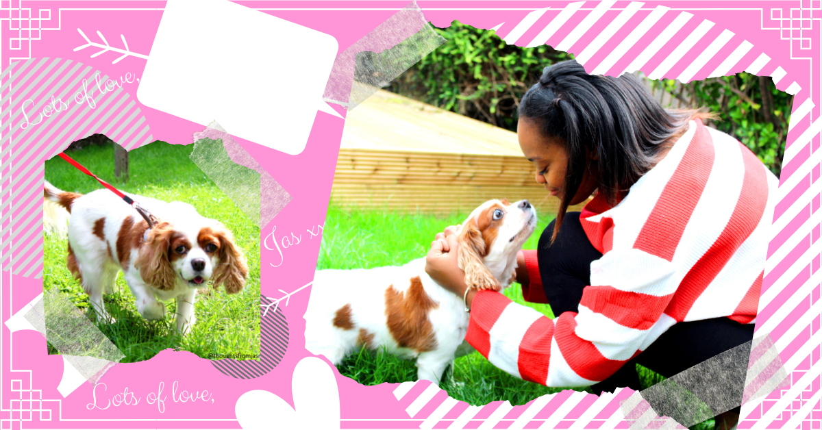 Compilation of images of me and a dog