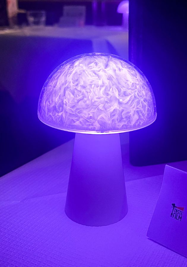 Photo of the illuminated mushroom lamp