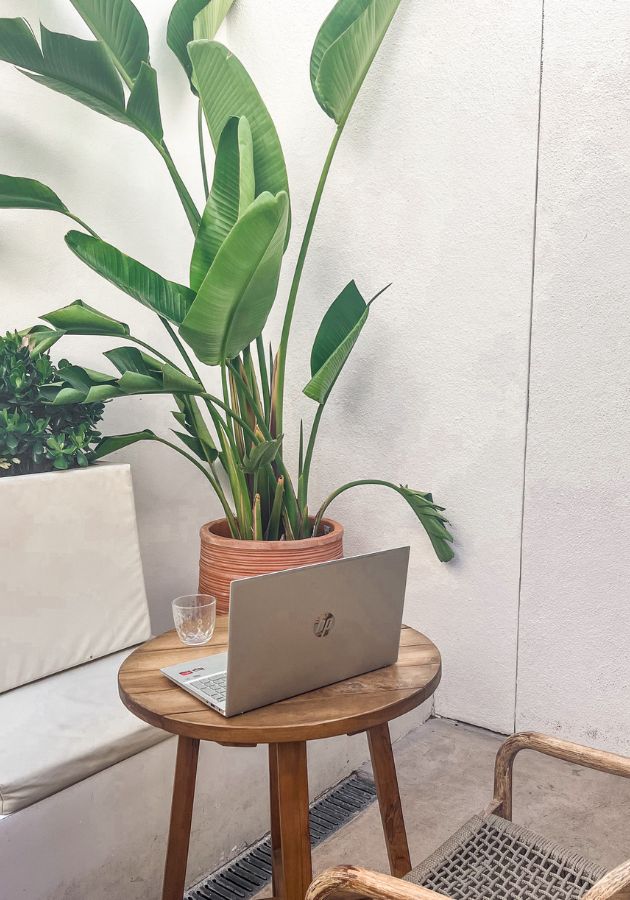 Photo of laptop on table in the sun